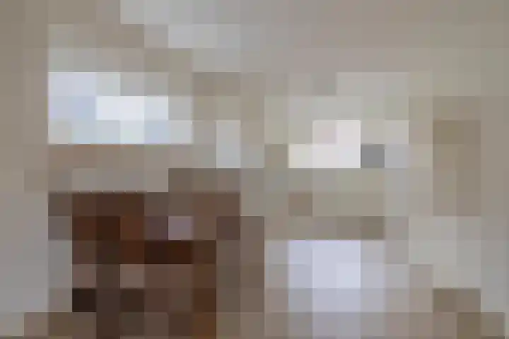 Johan Frisolaan 38 Den Bommel thumbnail 11
