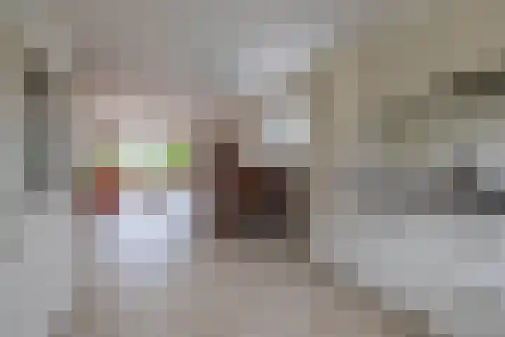Johan Frisolaan 38 Den Bommel thumbnail 12