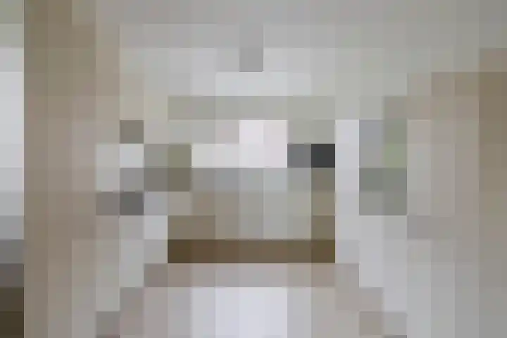 Johan Frisolaan 38 Den Bommel thumbnail 13