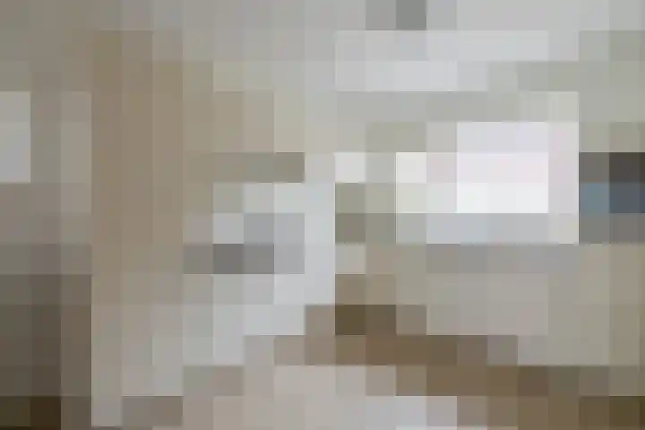 Johan Frisolaan 38 Den Bommel thumbnail 14