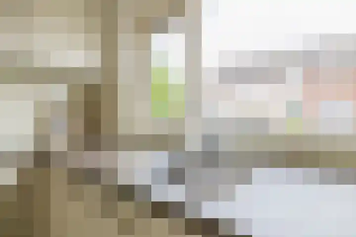 Johan Frisolaan 38 Den Bommel thumbnail 15