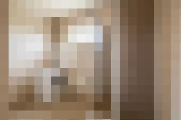Johan Frisolaan 38 Den Bommel thumbnail 16