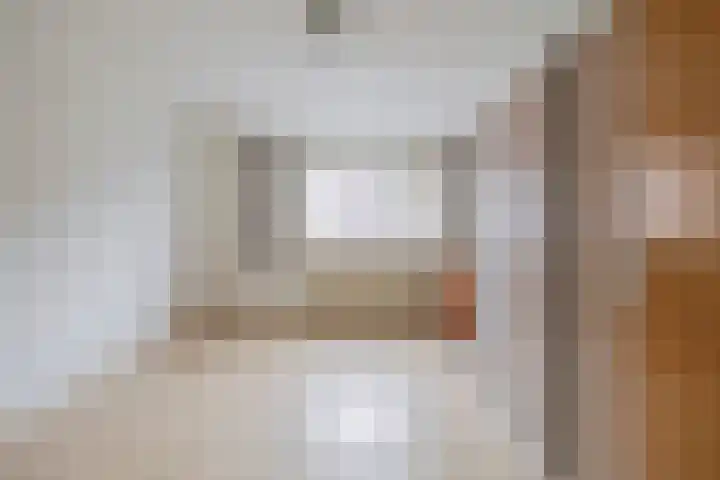 Johan Frisolaan 38 Den Bommel thumbnail 19