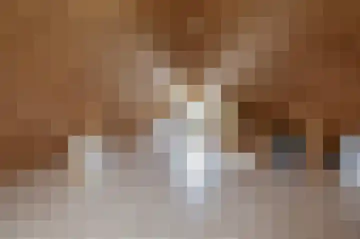 Johan Frisolaan 38 Den Bommel thumbnail 21