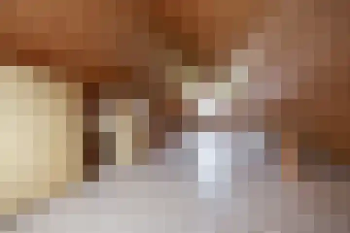 Johan Frisolaan 38 Den Bommel thumbnail 22