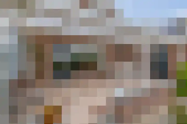 Johan Frisolaan 38 Den Bommel thumbnail 23