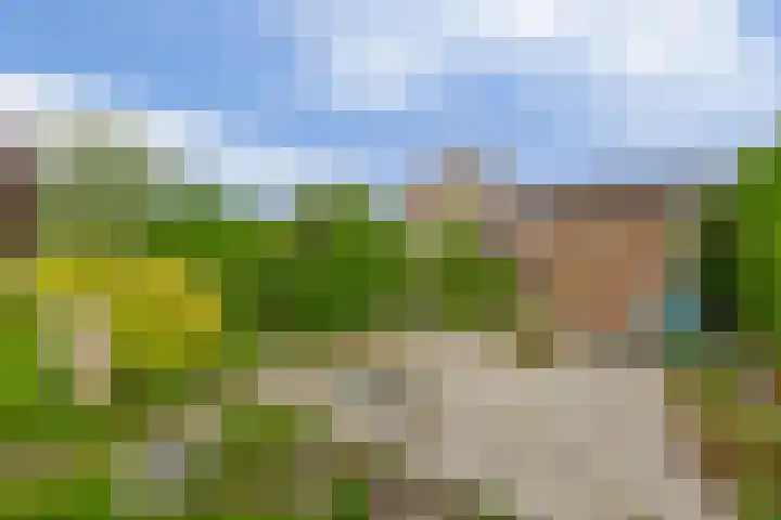 Johan Frisolaan 38 Den Bommel thumbnail 25
