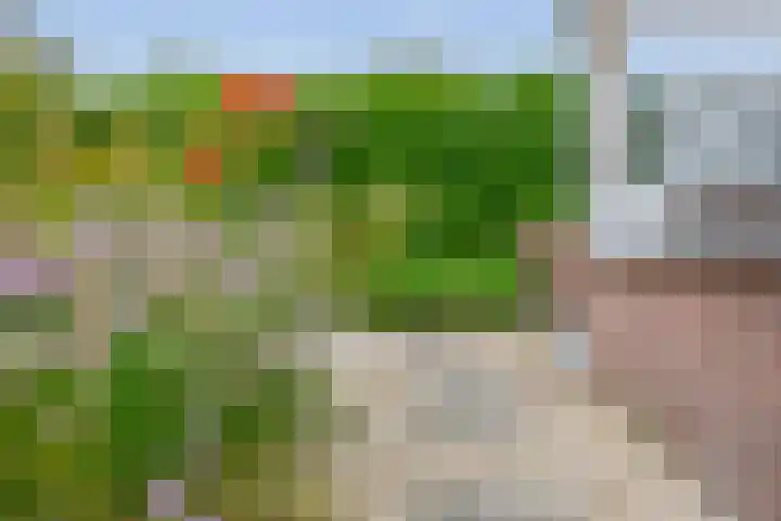 Johan Frisolaan 38 Den Bommel thumbnail 28