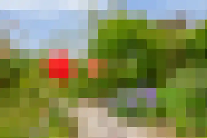 Johan Frisolaan 38 Den Bommel thumbnail 29