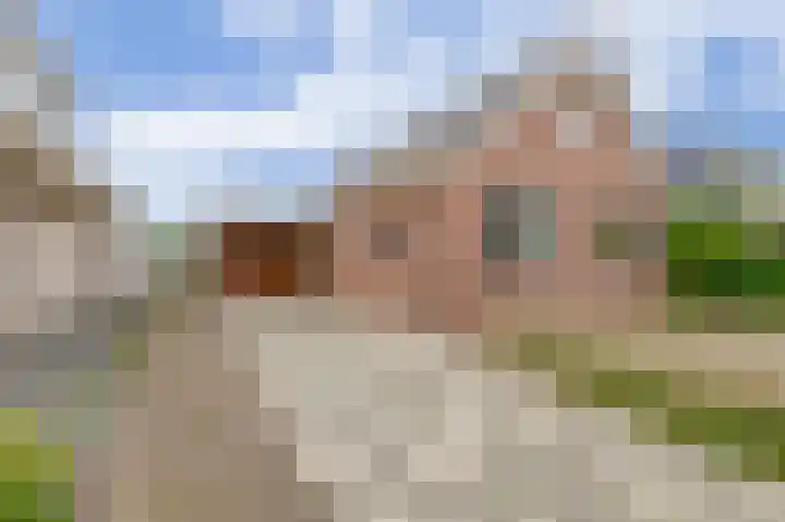 Johan Frisolaan 38 Den Bommel thumbnail 5