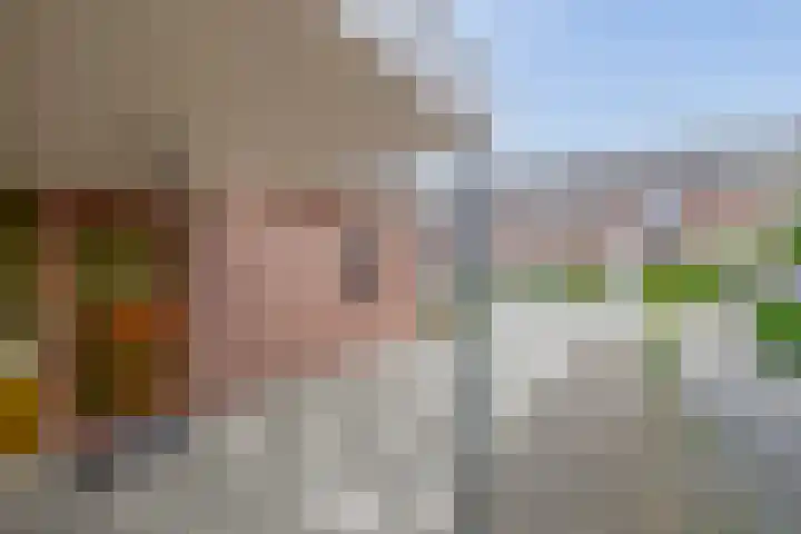 Johan Frisolaan 38 Den Bommel thumbnail 6