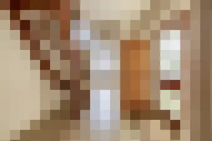 Johan Frisolaan 38 Den Bommel thumbnail 7