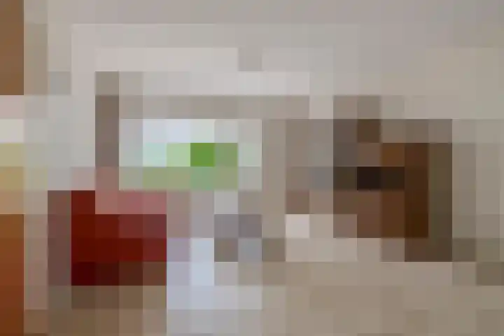 Johan Frisolaan 38 Den Bommel thumbnail 8