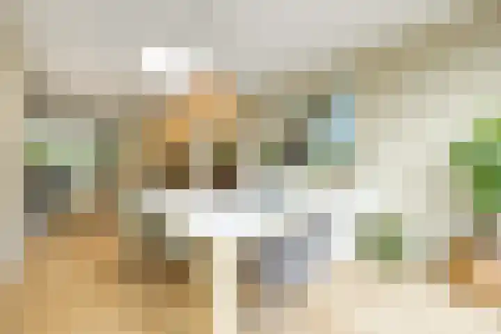 Johan Frisolaan 49 Vught thumbnail 14