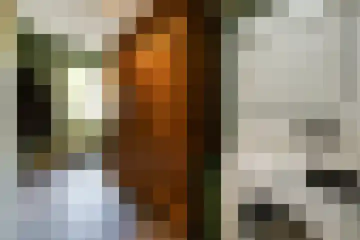 Johan Frisolaan 49 Vught thumbnail 28