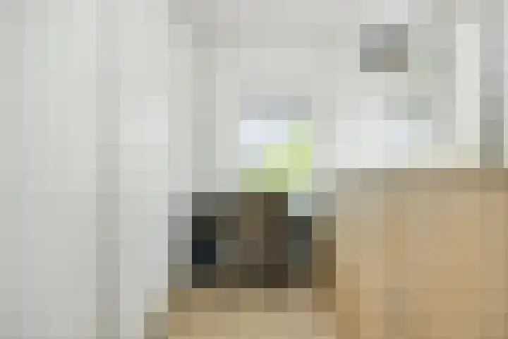 Johan Frisolaan 49 Vught thumbnail 30