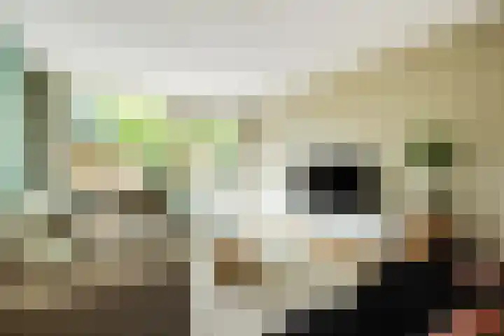 Johan Frisolaan 49 Vught thumbnail 4