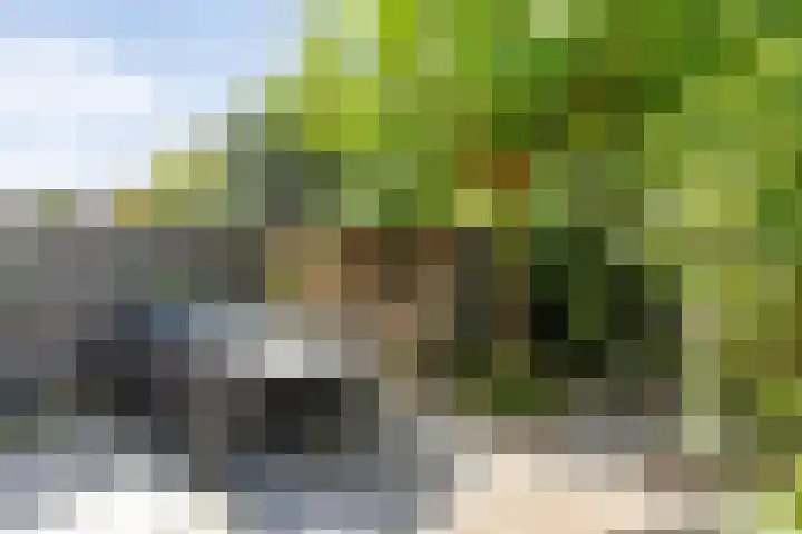 Johan Frisolaan 49 Vught thumbnail 40
