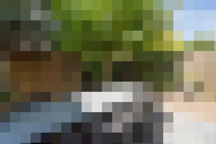 Johan Frisolaan 49 Vught thumbnail 41