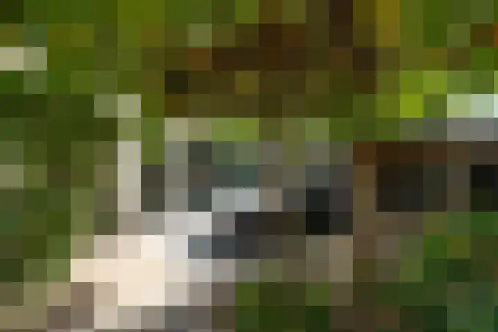 Johan Frisolaan 49 Vught thumbnail 42