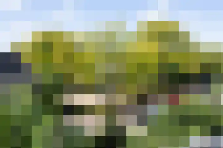 Johan Frisolaan 49 Vught thumbnail 43