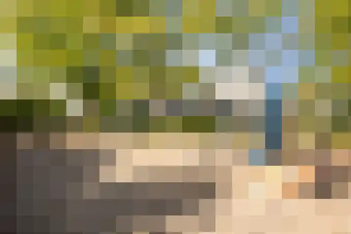 Johan Frisolaan 49 Vught thumbnail 44