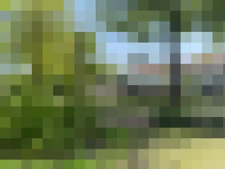 Johan Frisolaan 49 Vught thumbnail 45