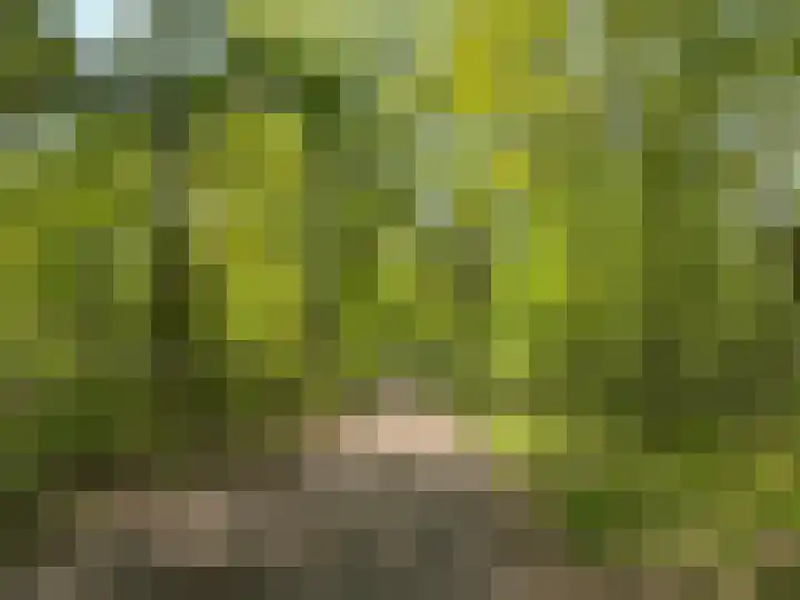 Johan Frisolaan 49 Vught thumbnail 46