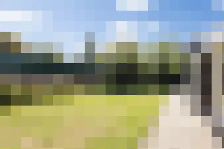 Johan Frisolaan 49 Vught thumbnail 8