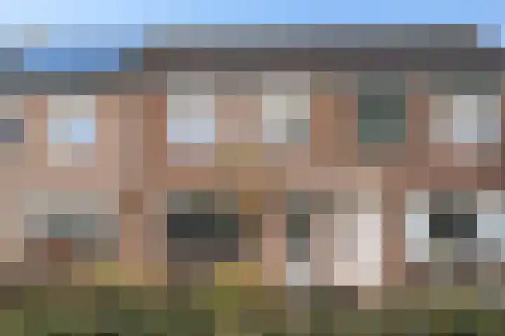 Johan Frisolaan 53 Den Bommel