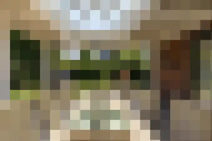 Johan Frisolaan 59 Vught thumbnail 12