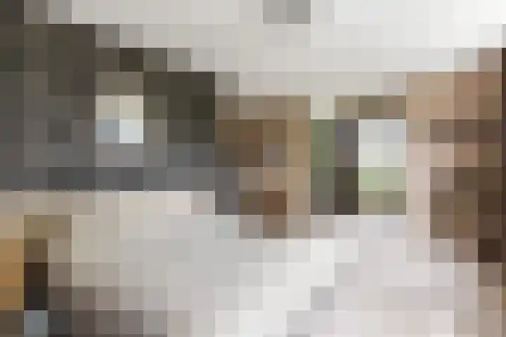 Johan Frisolaan 59 Vught thumbnail 21