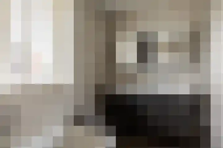 Johan Frisolaan 59 Vught thumbnail 24