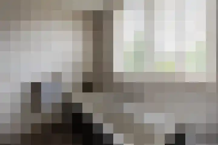 Johan Frisolaan 59 Vught thumbnail 25