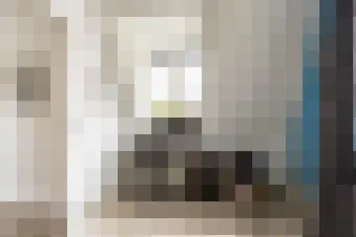 Johan Frisolaan 59 Vught thumbnail 37