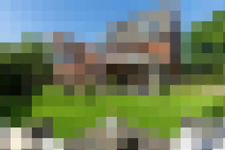 Johan Frisolaan 59 Vught thumbnail 40