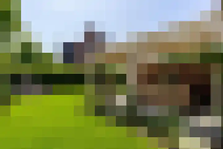 Johan Frisolaan 59 Vught thumbnail 42