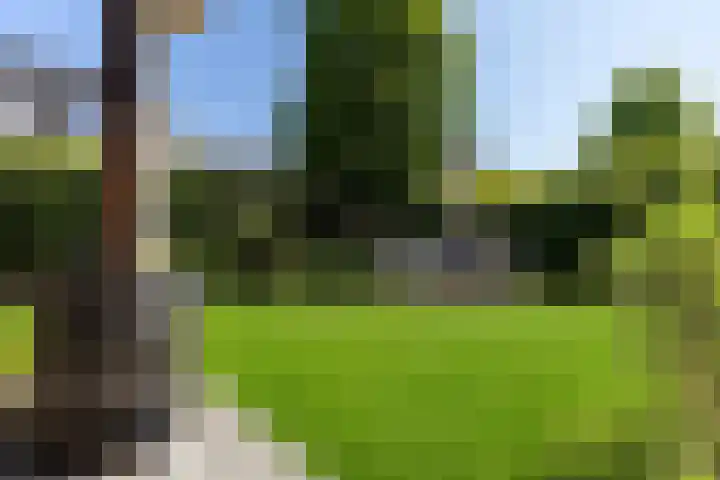 Johan Frisolaan 59 Vught thumbnail 43