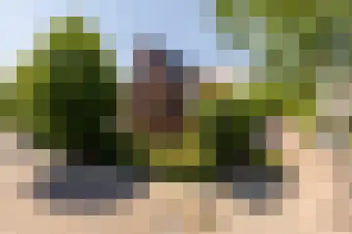 Johan Frisolaan 59 Vught thumbnail 45