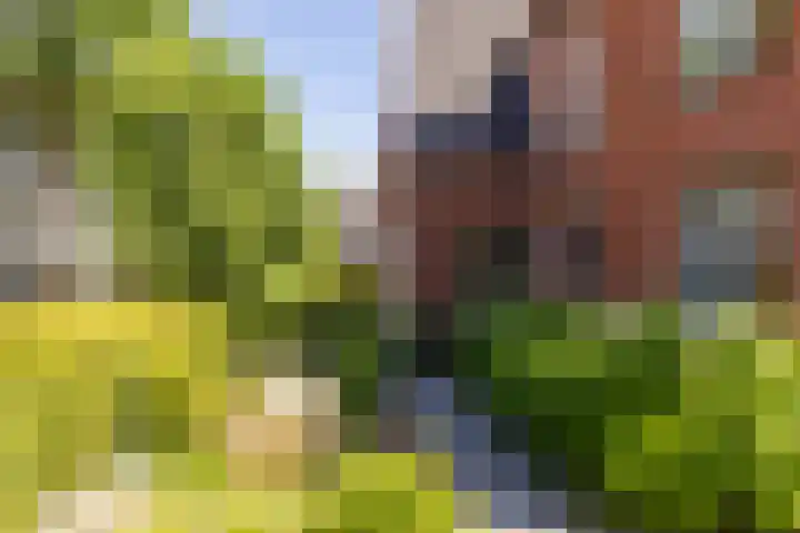 Johan Frisolaan 59 Vught thumbnail 5