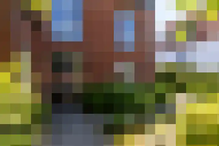 Johan Frisolaan 59 Vught thumbnail 6