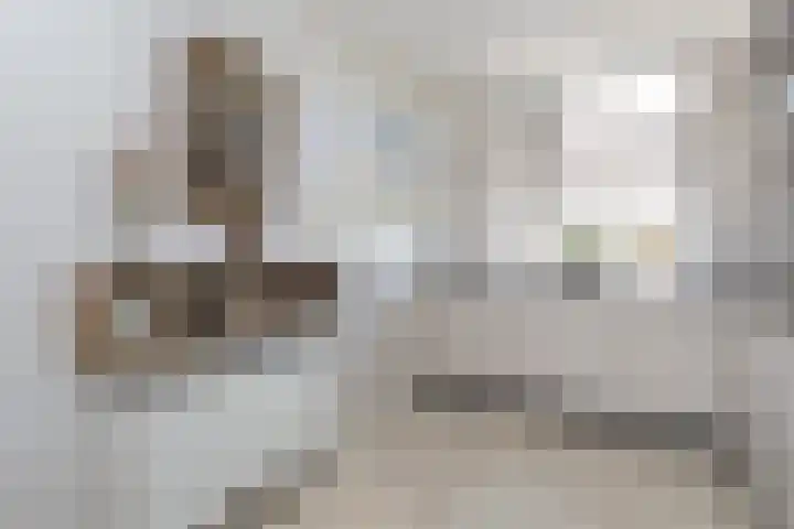 Johan Frisolaan 7 Den Bommel thumbnail 10