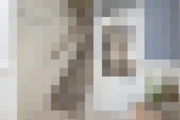 Johan Frisolaan 7 Den Bommel thumbnail 11
