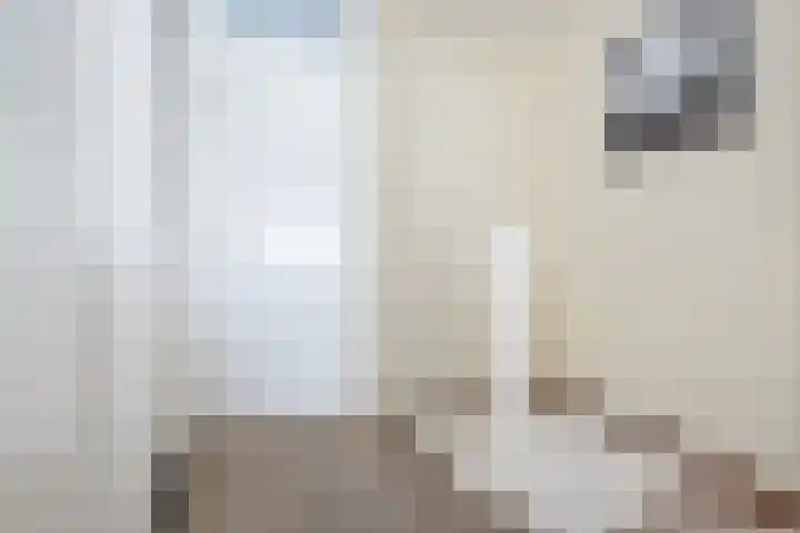 Johan Frisolaan 7 Den Bommel thumbnail 12