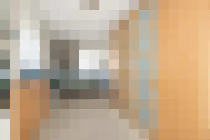Johan Frisolaan 7 Den Bommel thumbnail 14