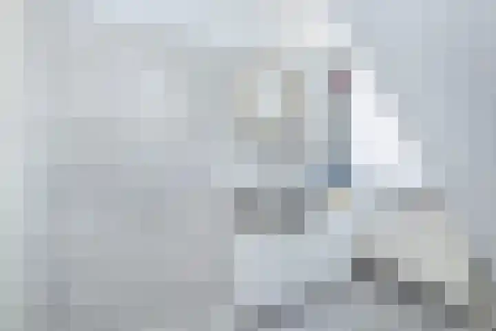 Johan Frisolaan 7 Den Bommel thumbnail 19