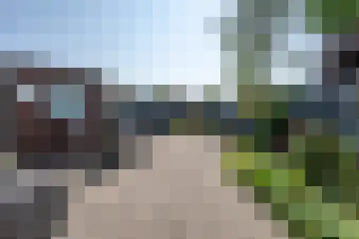 Johan Frisolaan 7 Den Bommel thumbnail 21