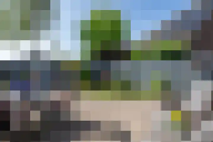 Johan Frisolaan 7 Den Bommel thumbnail 22