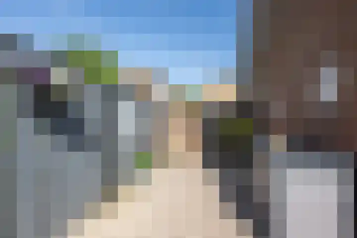 Johan Frisolaan 7 Den Bommel thumbnail 25