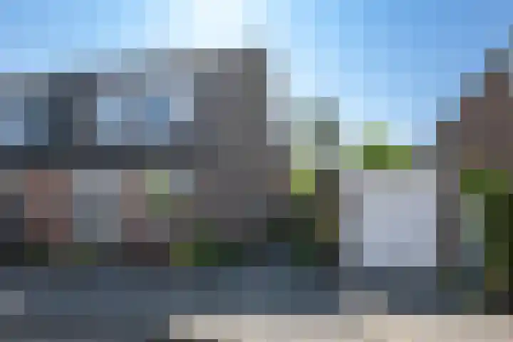 Johan Frisolaan 7 Den Bommel thumbnail 4